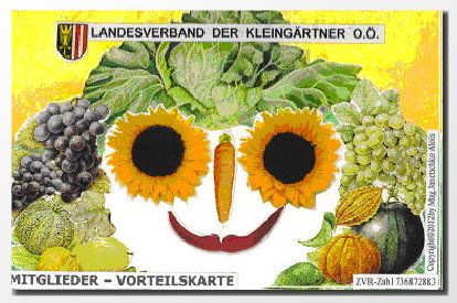 LV Vorteilscard